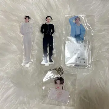 straykids Felix 미니 아크릴 스탠드 아크릴 참