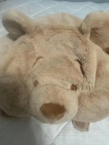 푸우 모자