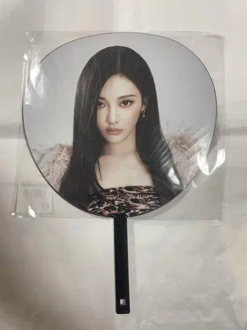 aespa 2025 LIVE TOUR 부채 닝닝
