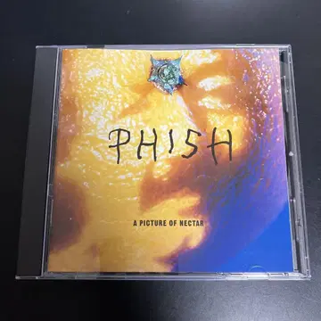 새상품급 CD 피쉬 Picture of Nectar 수입반 구하기 어려움