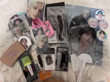 nct127 정우 굿즈 묶음 판매