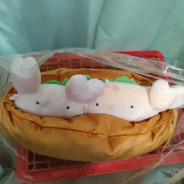 다이토 복권 뭐든지 생물 B상 증정 포함