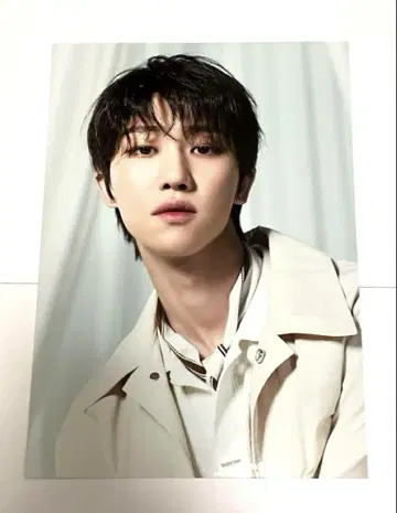 SEVENTEEN 과거 미니 포스터 (THE8)