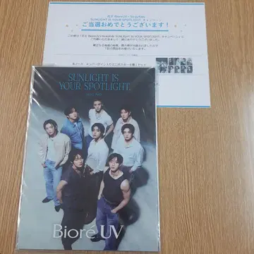 Biore 캠페인*Stray Kids 미니 포스터 9종