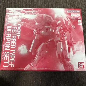 MG 1/100 건담 아스트레아 TYPE-F 풀 웨폰 세트