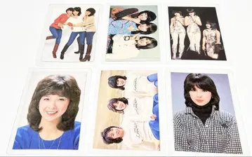 캔디즈 라미네이티드 카드