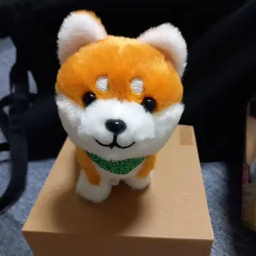 마네마네 토코토코 콩 시바