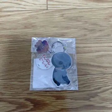 교육 방송 삼련 아크릴 키링 C 그런 걸로 괜찮아