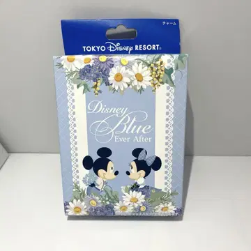 디즈니 리조트 블루 에버 애프터 참 BOX