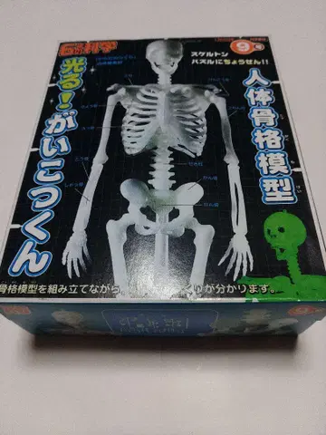 빛나는 인체 골격 모형