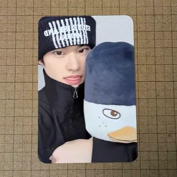 RIIZE RIIZING DAY 서울콘 앙콘 백 트레이딩 카드 소희