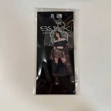 aespa 윈터 아크릴 키링