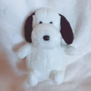 [오늘 발송 가능] 밤과 케로 야메피 봉제 인형 레어 [가격 인하 가능]
