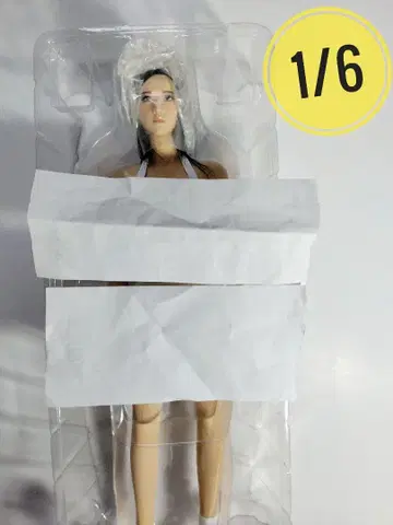 [ 미사용 ] 1/6 스케일 여성 소체 가동 피규어 컬렉션용 헤드 포함