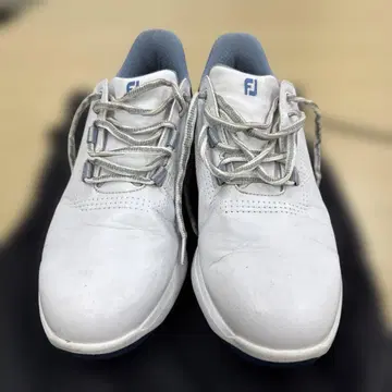 풋조이 퓨얼 레이스 골프화 일본 정품 26.5cm