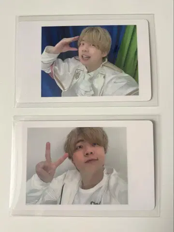 팬더 드래곤 나기 하피카