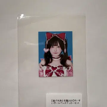 큐르시테 신기루 아무 생탄 증명사진