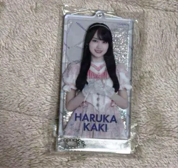 노기자카46 카키 하루카 2025 Lucky Bag 젤 키링