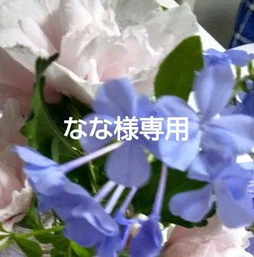 간편 오비 니부시키 기모노