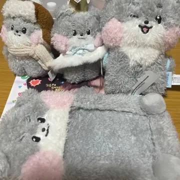 Zeroni 고니니 gunini 세트
