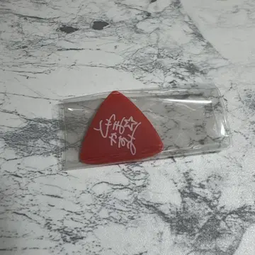 뱅드림 Poppin'Party CD 특전 피크 카스미