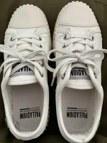 PALLADIUM 화이트 스니커즈