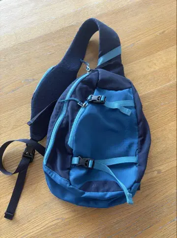 Patagonia 슬링 백 블루