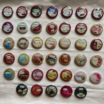 하겐다즈 오리지널 캔뱃지 전 40종 컴플리트