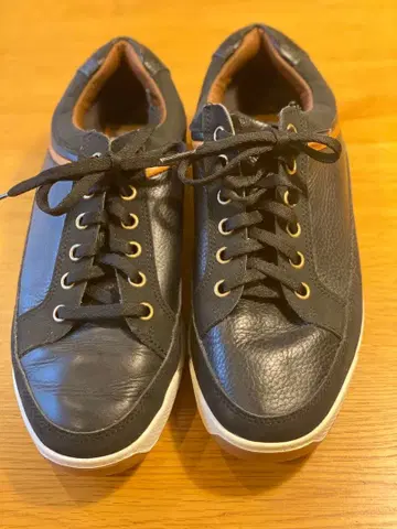 FOOTJOY 골프화