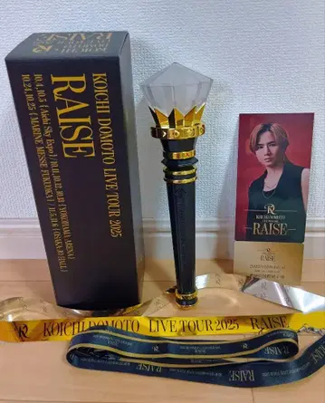 도모토 코이치 RAISE 응원봉 아이치 공연 메모리얼 티켓 은색 테이프