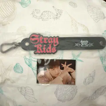 Stray Kids domin 타월 홀더와 승민 포토 카드