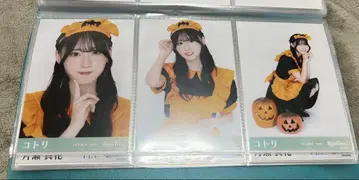 RainTree 아야세 코토리 Halloween 컴프