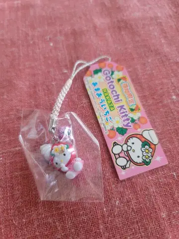 지역 한정 키티 아마오 딸기 후쿠오카 한정판