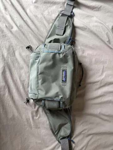 patagonia 스텔스 힙 팩 11L 파우치 파타고니아