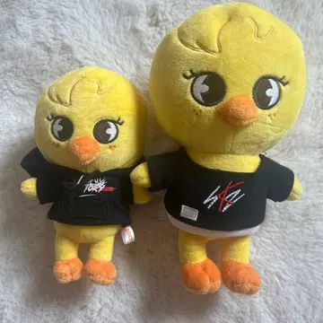 straykids 필릭스 보카리