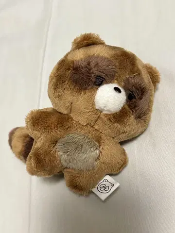THEBOYZ 선우 봉제 인형