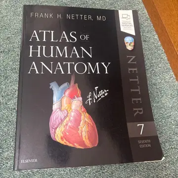 Atlas of human anatomy Netter