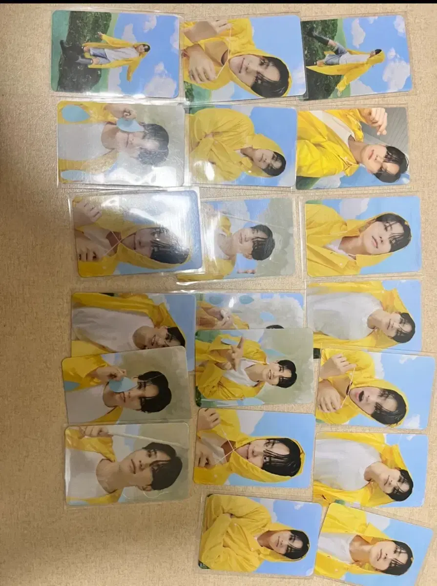 세븐틴 호시포카