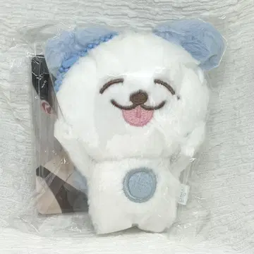 NCTDREAM 드림 제노 무어니 므엉이 마그넷 인형 키링