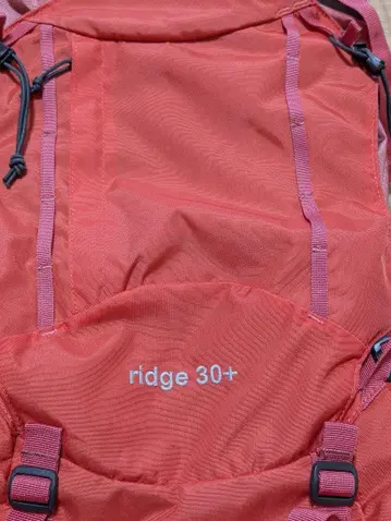 ridge 30+ 백팩 핑크 small