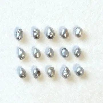 펄 루스 남양 진주 검은 나비 양귀비 5mm 변형 그레이 계열 15pcs