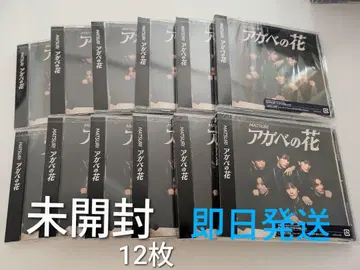 [ 미개봉 12장 ] 아가베 꽃 MATSURI CD 트레이딩 카드 포함