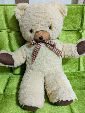 페티그리 사 컬렉션 베어