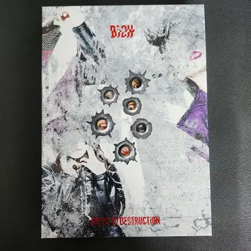 [ 초회 생산 한정판 ] BiSH GOiNG TO DESTRUCTiON