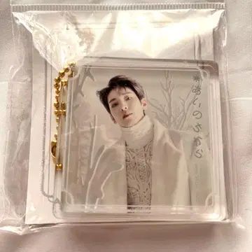seventeen 8mm ACRYLIC KEYRING WONWOO
