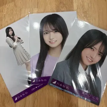 세토구치 신게츠 브로마이드 묶음 판매