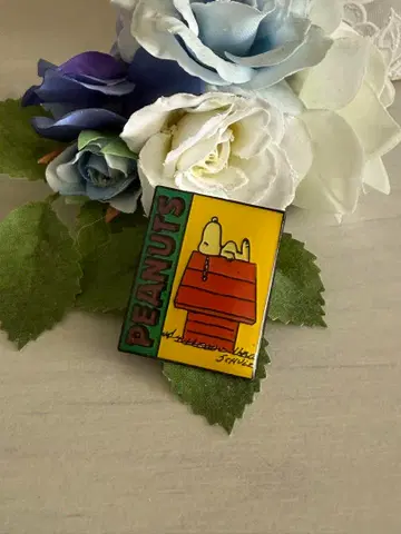 초레어 빈티지 [70~90s] 스누피 핀즈