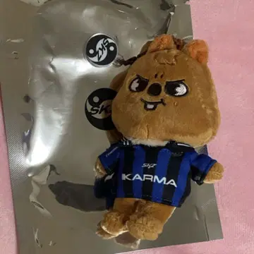 stray kids 스키즈 KARMA SKZOO 한 한쿼카