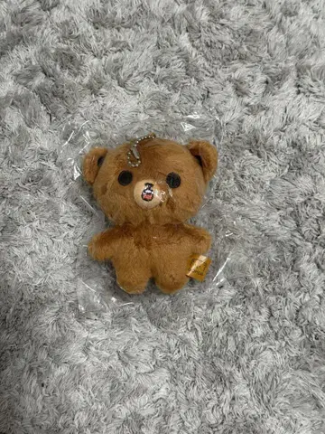 NCT 해찬 마스터 봉제 인형