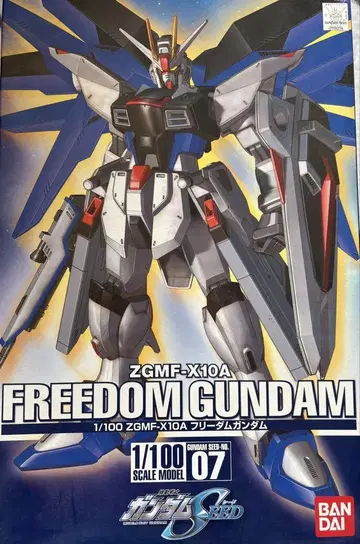 ZGFM-X10A FREEDOM GUNDAM 1/100